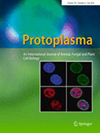 PROTOPLASMA