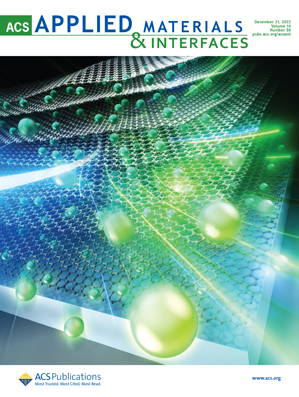 LetPub ジャーナルの表紙絵サービス アートサンプル, ACS Applied Materials & Interfaces Cover 1