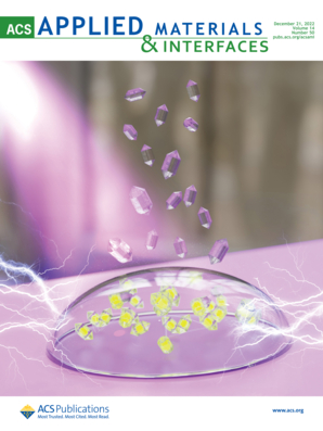LetPub ジャーナルの表紙絵サービス アートサンプル, ACS Applied Materials & Interfaces Cover 3