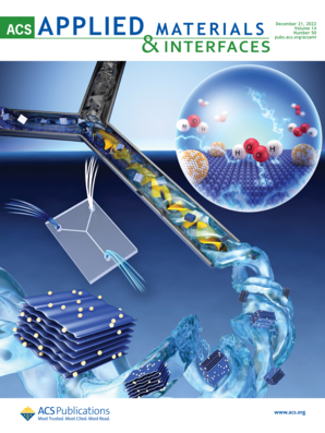 LetPub ジャーナルの表紙絵サービス アートサンプル, ACS Applied Materials & Interfaces Cover 4