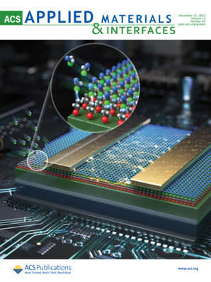 LetPub ジャーナルの表紙絵サービス アートサンプル, ACS Applied Materials & Interfaces Cover 5