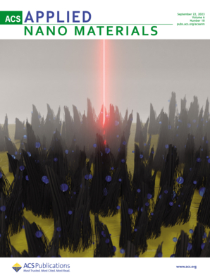 LetPub ジャーナルの表紙絵サービス アートサンプル, ACS Applied Nano Materials Cover 1