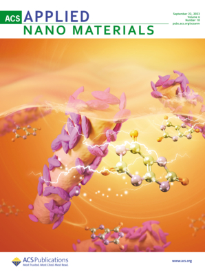 LetPub ジャーナルの表紙絵サービス アートサンプル, ACS Applied Nano Materials Cover 2