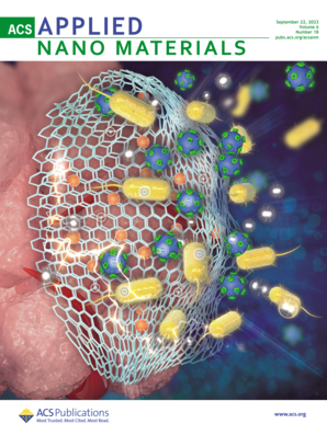 LetPub ジャーナルの表紙絵サービス アートサンプル, ACS Applied Nano Materials Cover 3