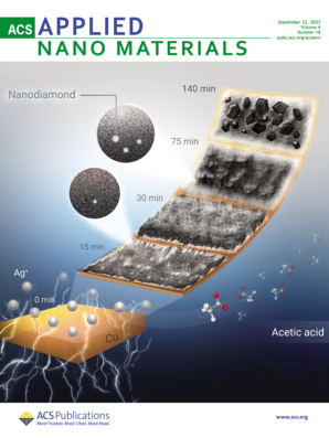 LetPub ジャーナルの表紙絵サービス アートサンプル, ACS Applied Nano Materials Cover 5