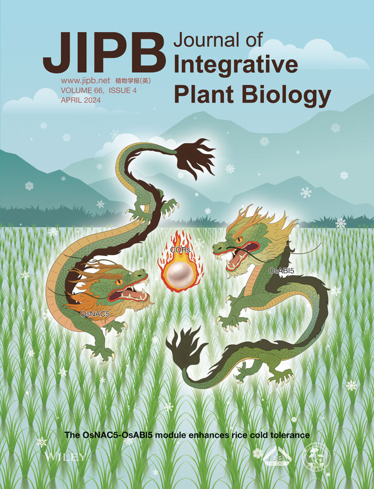 LetPub ジャーナルの表紙絵サービス アートサンプル, Journal of Integrative Plant Biology