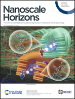 LetPub ジャーナルの表紙絵サービス アートサンプル, Nanoscale Horizons