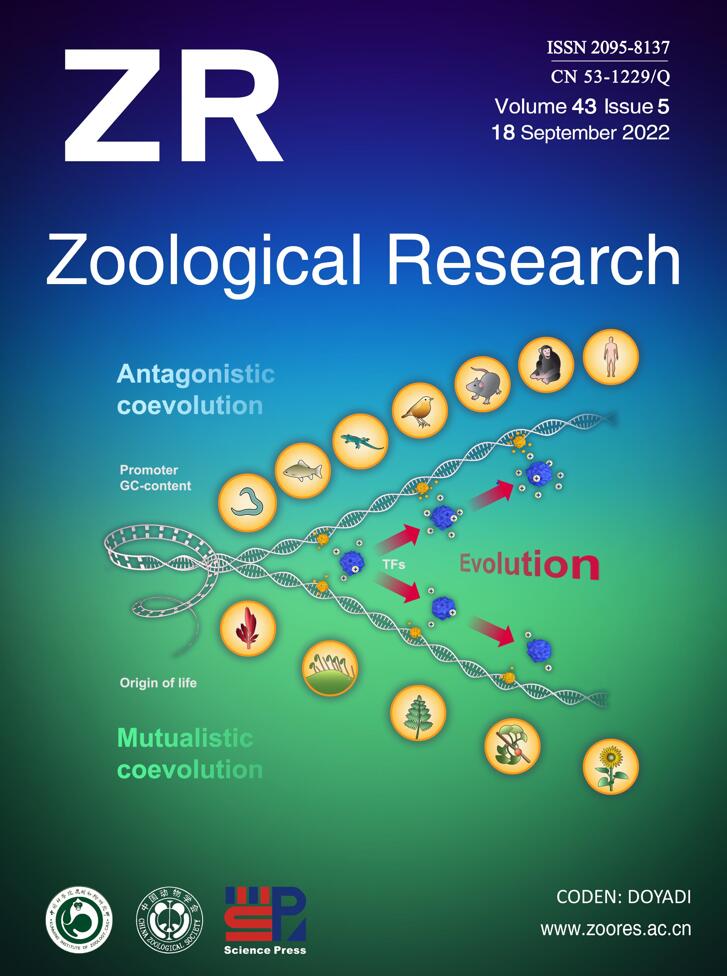 LetPub ジャーナルの表紙絵サービス アートサンプル, ZOOLOGICAL RESEARCH